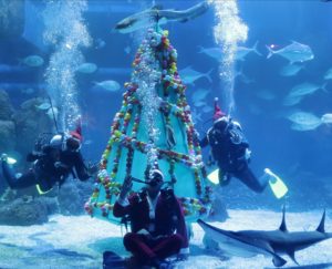 Новый год под водой